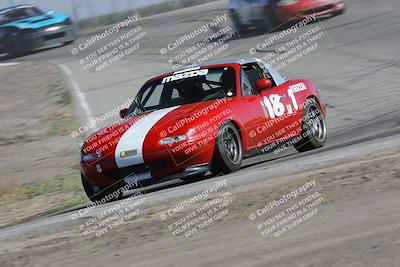 media/Oct-21-2023-Speed Ventures (Sat) [[ddf75163c5]]/Green/Grapvine/